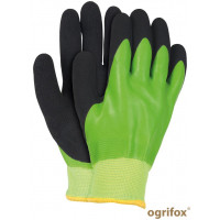 OX-WINGREEN (Зима) OX-WINGREEN (Зима)